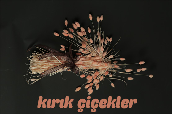Kırık Çiçekler